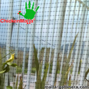 Malla gallinera plástica instalada en reja de hierro