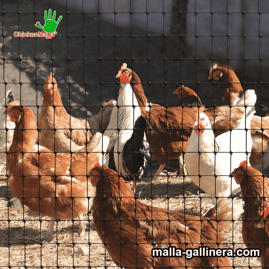 proteger con malla gallinera